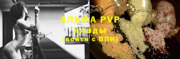 ГАЛЛЮЦИНОГЕННЫЕ ГРИБЫ Белоозёрский