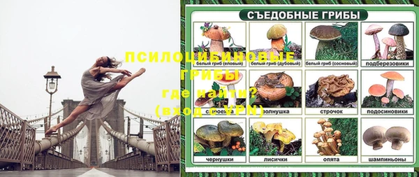 амфетамин Белокуриха