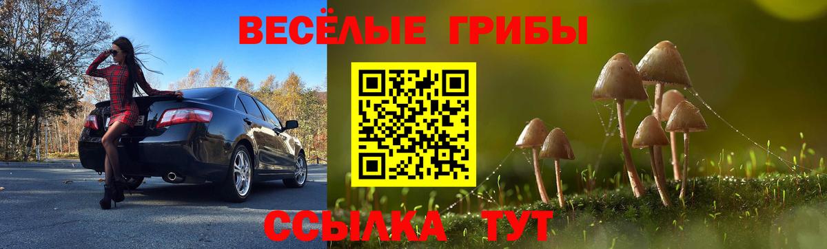 Пыть-Ях  Галлюциногенные грибы прущие грибы  Псилоцибиновые грибы Cubensis  Вход с VPN 